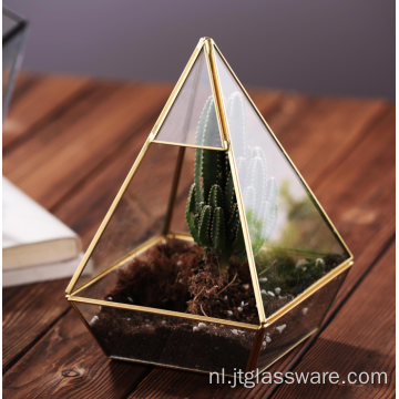 Sappig geometrisch glazen terrarium voor gouden bruiloft
